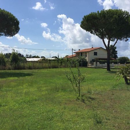 L'Alloggio Del Capitano Viareggio Dış mekan fotoğraf
