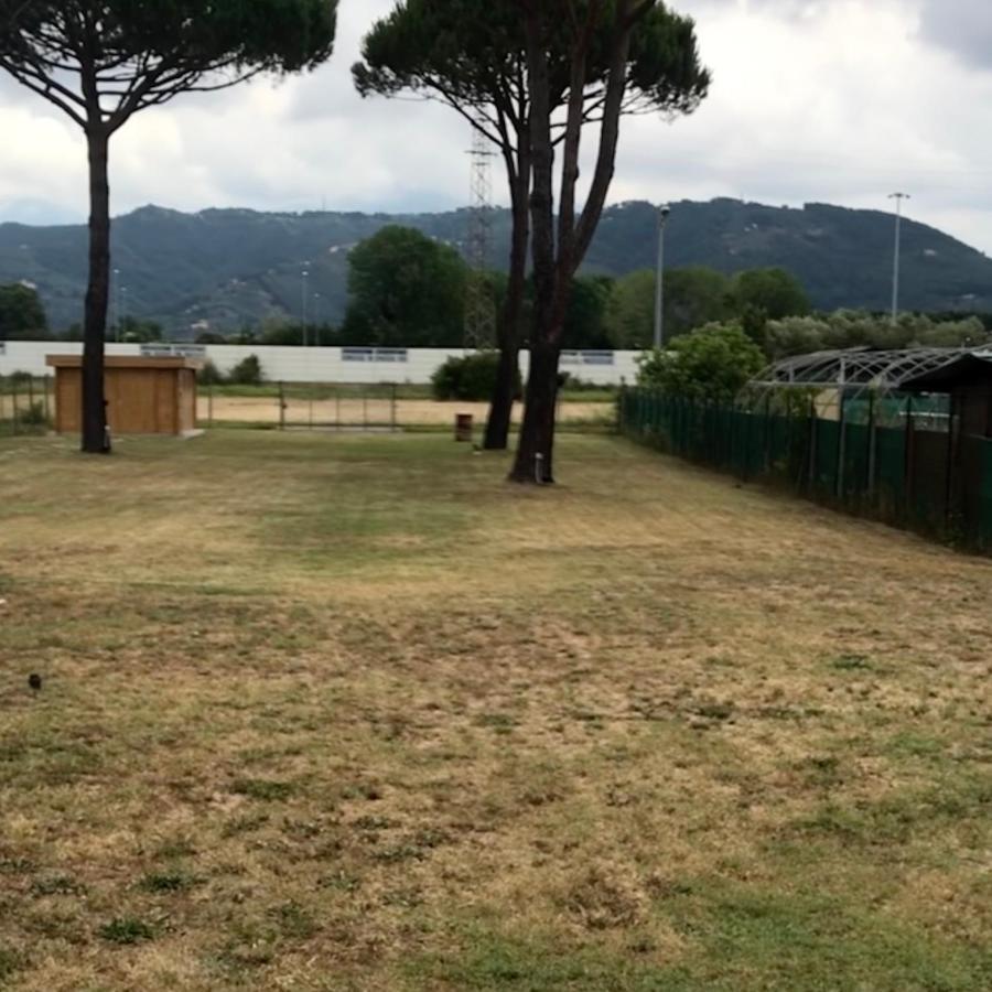 L'Alloggio Del Capitano Viareggio Dış mekan fotoğraf