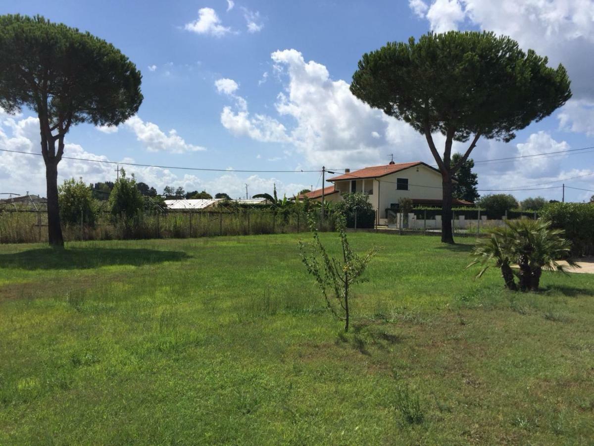 L'Alloggio Del Capitano Viareggio Dış mekan fotoğraf
